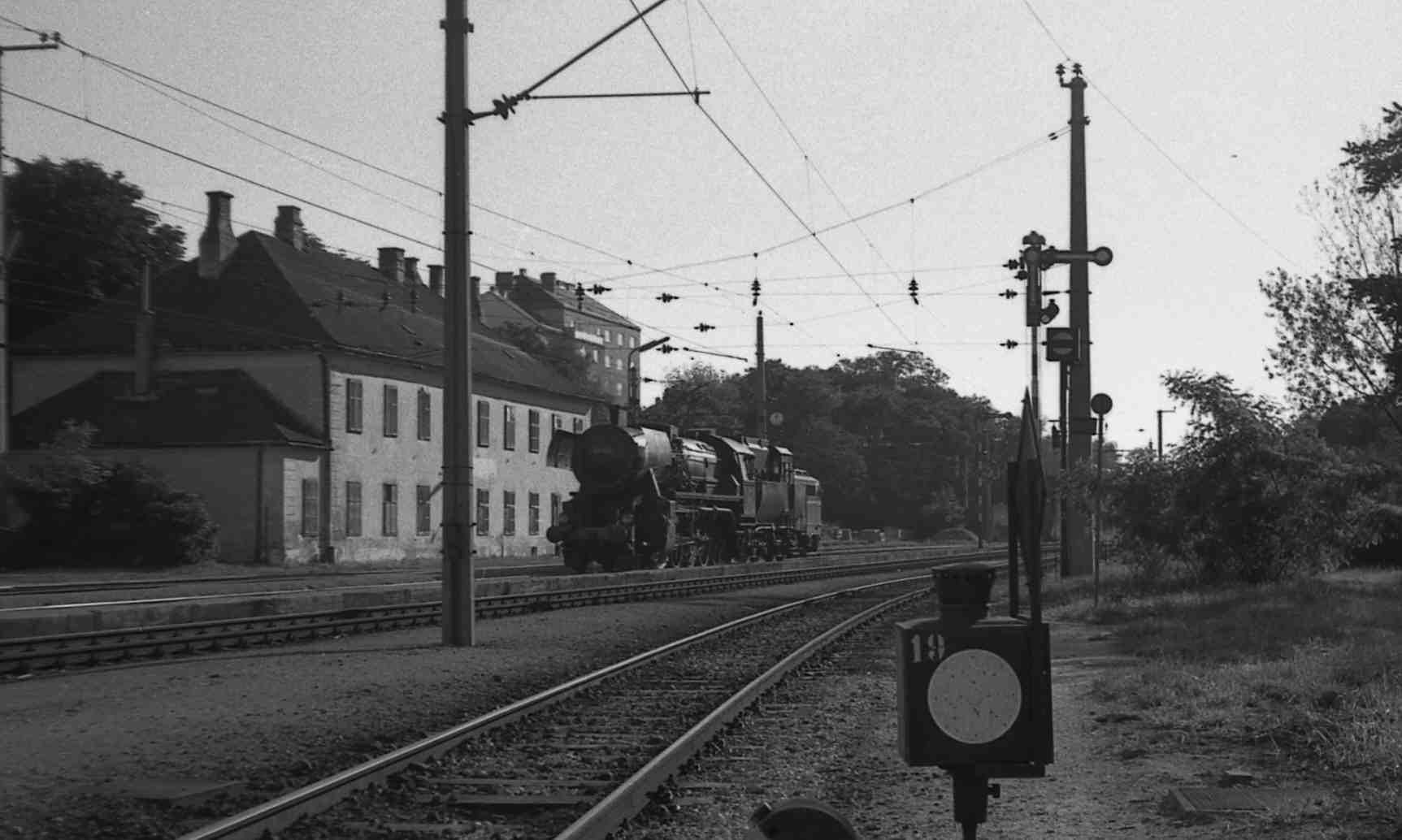 52-nnnn-07-1974-gaensernd.jpg (98577 Byte)