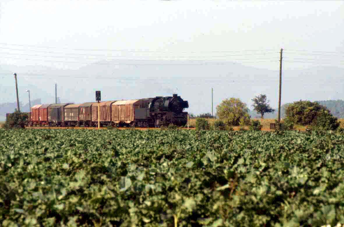 BALLENSTEDT84.jpg (46206 Byte)