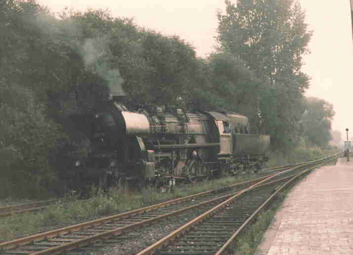 brandenburg84.jpg (20257 Byte)