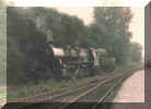 52.80 Bw Brandenburg, Juli 1984 