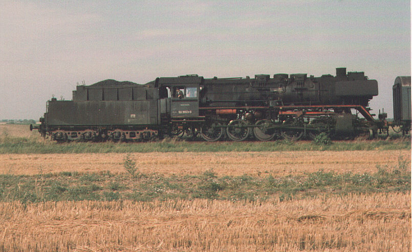 dedeleben84.jpg (108958 Byte)