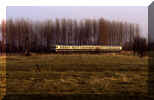 624sande83.jpg (134113 Byte)