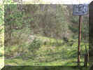 Hansel_1.JPG (87435 Byte)